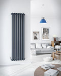 Cassius Mild Steel Vertical Radiator