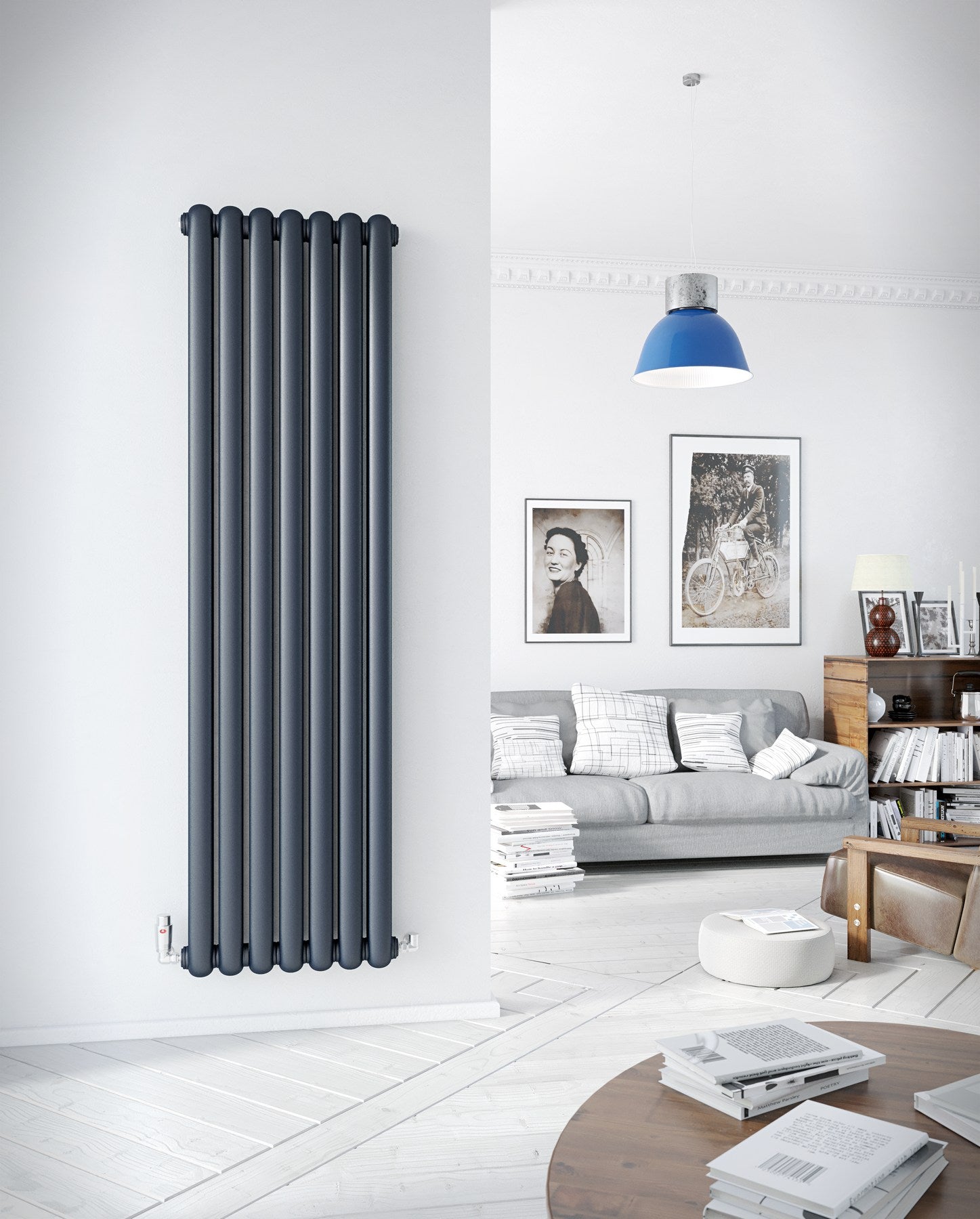 Cassius Mild Steel Vertical Radiator